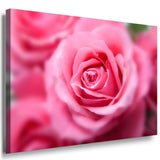 Blume Rose Leinwandbild AK ART Kunstdruck Mehrfarbig Wandbild Wanddeko TOP XXL