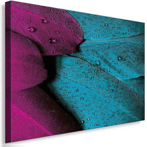 Makro Feder Leinwandbild – Wassertropfen in Magenta & Türkis | Abstrakter Kunstdruck von AK ART