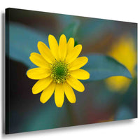 Gelbe Blume Leinwandbild AK ART Wanddeko Wandbild Made in Germany XXL