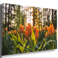 Orange Tulpen Leinwandbild AK ART Kunstdruck Mehrfarbig Wandbild Wanddeko TOP XXL