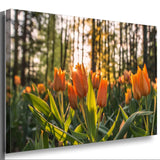 Orange Tulpen Leinwandbild AK ART Kunstdruck Mehrfarbig Wandbild Wanddeko TOP XXL