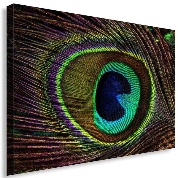 Pfauenfeder Leinwandbild – Blau-Rote Eleganz der Natur in Nahaufnahme | AK ART Wandbild XXL