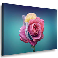Rose Regentropfen Leinwandbild AK ART Kunstdruck Mehrfarbig Wandbild Wanddeko TOP XXL