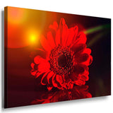 Rote Blume Gerbera Leinwandbild / AK Art Bilder / Mehrfarbig + Kunstdruck XXL Wandbild