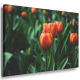 Tulpen Leinwandbild AK ART Kunstdruck Mehrfarbig Wandbild Wanddeko TOP XXL