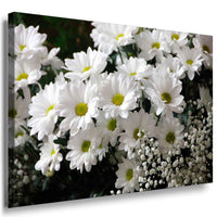 Weiße Blumen Leinwandbild / AK ART Bilder / Mehrfarbig Kunstdruck XXL Wandbild