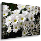 Weiße Blumen Leinwandbild / AK ART Bilder / Mehrfarbig Kunstdruck XXL Wandbild