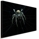 Spinne Spinnennetz Leinwandbild AK ART Kunstdruck Mehrfarbig Wandbild Wanddeko