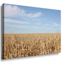 Weizen Feld Himmel Leinwandbild AK Art Bilder Mehrfarbig Kunstdruck Wandbild