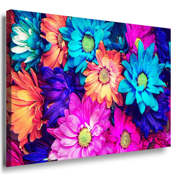 Gerbera Blume Leinwandbild AK Art Bilder Mehrfarbig Wandbild Kunsdruck TOP XXL