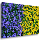 Blau Gelbe Blumen Beet Leinwandbild / AK ART Bilder / Mehrfarbig Kunstdruck XXL