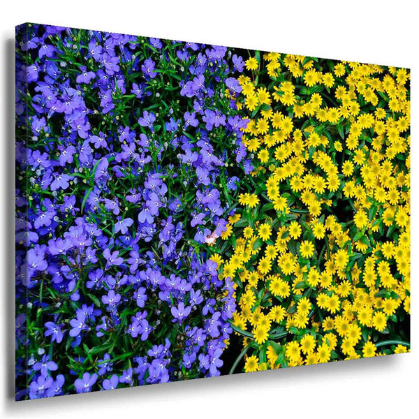 Blau Gelbe Blumen Beet Leinwandbild / AK ART Bilder / Mehrfarbig Kunstdruck XXL