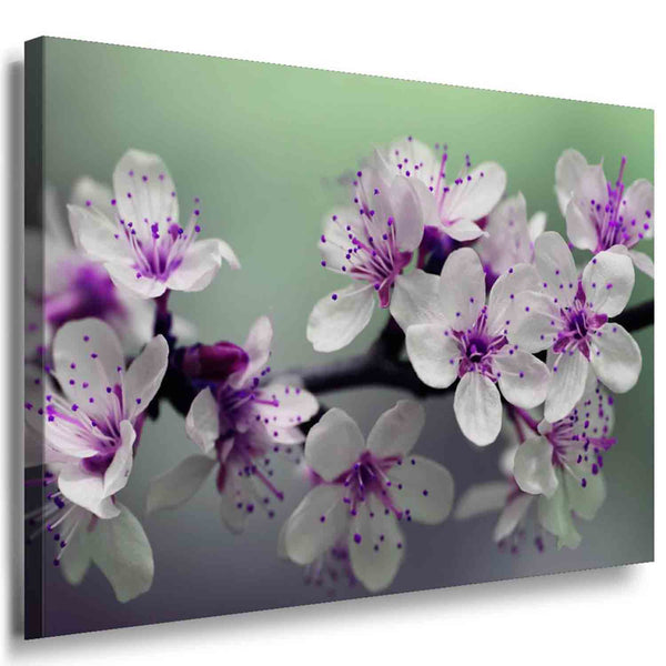 Blumen Leinwandbild / AK Art Bilder / Mehrfarbig + Kunstdruck XXL b07 Wandbild