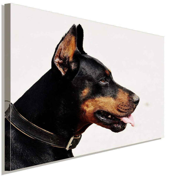 Doberman Hundeportrait AK Art Bilder Premium Kunstdruck Leinwandbilder Top XXL