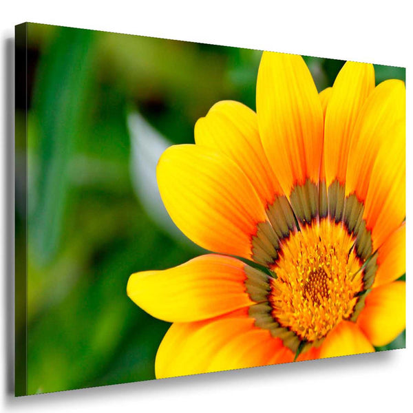 Gelbe Blumen Groß Leinwandbild / AK Art Bilder / Mehrfarbig + Kunstdruck XXL TOP