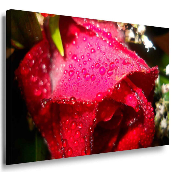 Rose Leinwandbild / AK Art Bilder / Mehrfarbig + Kunstdruck XXL Wandbild Blume