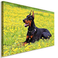 Schöner Doberman auf dem Feld AK Art Bilder| Premium Kunstdruck Made in Germany