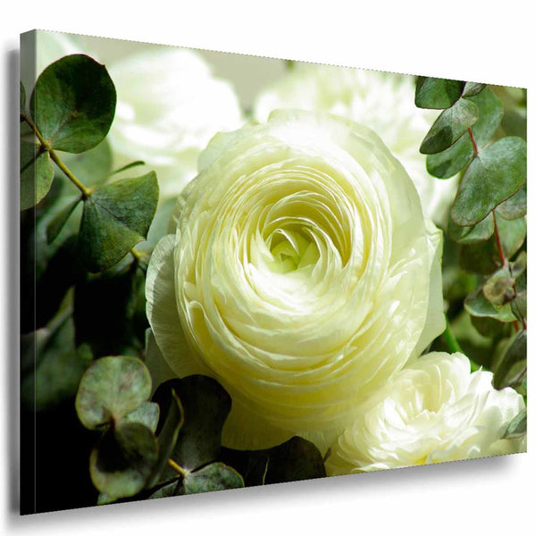 Weiße Rose Leinwandbild / AK Art Bilder / Mehrfarbig + Kunstdruck XXL Wandbild