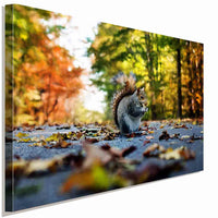 Eichhörnchen im Wald Leinwandbild AK Art Bilder Wanddeko Wandbild Kunstdruck