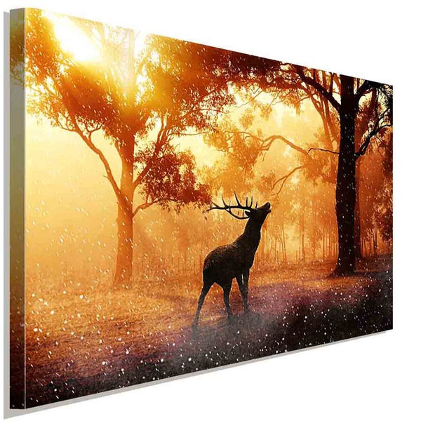 Hirsch im wald 2 Leinwandbild AK Art Bilder Wanddeko Wandbild Kunstdruck XXL