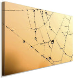 Wasserpelen Netz Natur Leinwandbild AK ART Wanddeko Wandbild Made in Germany XXL