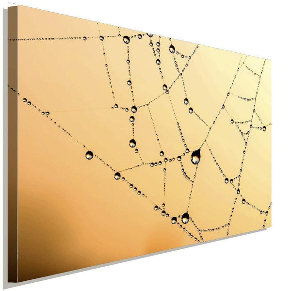 Wasserpelen Netz Natur Leinwandbild AK ART Wanddeko Wandbild Made in Germany XXL