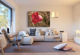 Rote Rose Leinwandbild / AK ART Bilder / SchwarzWeiß Kunstdruck XXL TOP Wandbild