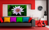 Wasser Lilie Blume Leinwandbild / AK Art Bilder / Mehrfarbig + Kunstdruck XXL Wandbild
