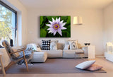 Wasser Lilie Blume Leinwandbild / AK Art Bilder / Mehrfarbig + Kunstdruck XXL Wandbild