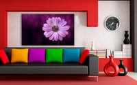 Viloette Blume Leinwandbild / AK Art Bilder / Mehrfarbig + Kunstdruck XXL b15