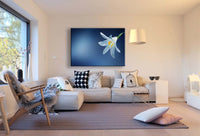 Weiße Lilie Leinwandbild AK ART Kunstdruck Mehrfarbig Wandbild Wanddeko TOP XXL