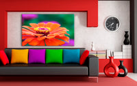 Zinnie Blume Leinwandbild AK ART Kunstdruck Mehrfarbig Wandbild Wanddeko TOP XXL