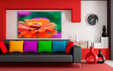 Zinnie Blume Leinwandbild AK ART Kunstdruck Mehrfarbig Wandbild Wanddeko TOP XXL