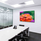 Zinnie Blume Leinwandbild AK ART Kunstdruck Mehrfarbig Wandbild Wanddeko TOP XXL