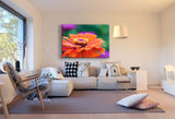Zinnie Blume Leinwandbild AK ART Kunstdruck Mehrfarbig Wandbild Wanddeko TOP XXL