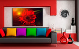 Rote Blume Gerbera Leinwandbild / AK Art Bilder / Mehrfarbig + Kunstdruck XXL Wandbild