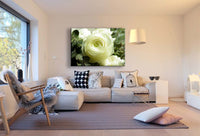 Weiße Rose Leinwandbild / AK Art Bilder / Mehrfarbig + Kunstdruck XXL Wandbild
