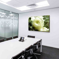 Weiße Rose Leinwandbild / AK Art Bilder / Mehrfarbig + Kunstdruck XXL Wandbild