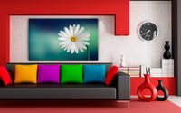 Weiße Blume Makro Leinwandbild AK Art Bilder Mehrfarbig Kunstdruck XXL Wandbild