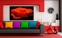 Rote Rose Blume Leinwandbild AK ART Kunstdruck Mehrfarbig Wandbild Wanddeko XXL