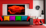 Rote Rose Blume Leinwandbild AK ART Kunstdruck Mehrfarbig Wandbild Wanddeko XXL