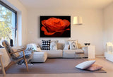 Rote Rose Blume Leinwandbild AK ART Kunstdruck Mehrfarbig Wandbild Wanddeko XXL