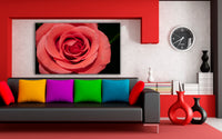 Rosa Rose Leinwandbild AK ART Kunstdruck Mehrfarbig Wandbild Wanddeko TOP XXL