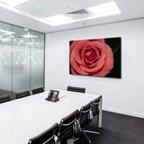 Rosa Rose Leinwandbild AK ART Kunstdruck Mehrfarbig Wandbild Wanddeko TOP XXL