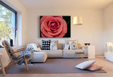 Rosa Rose Leinwandbild AK ART Kunstdruck Mehrfarbig Wandbild Wanddeko TOP XXL
