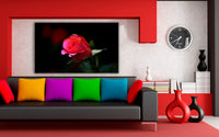Rosa rote Rose Leinwandbild AK ART Kunstdruck Mehrfarbig Wandbild Wanddeko TOP XXL