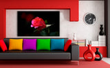 Rosa rote Rose Leinwandbild AK ART Kunstdruck Mehrfarbig Wandbild Wanddeko TOP XXL
