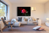 Rosa rote Rose Leinwandbild AK ART Kunstdruck Mehrfarbig Wandbild Wanddeko TOP XXL