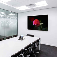 Rosa rote Rose Leinwandbild AK ART Kunstdruck Mehrfarbig Wandbild Wanddeko TOP XXL