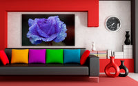 Blaue Rose Regentropfen Leinwandbild / AK Art Bilder / Mehrfarbig + Kunstdruck
